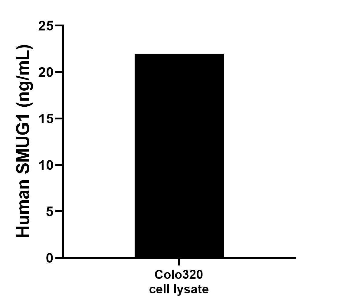 Sample test of MP00765-2